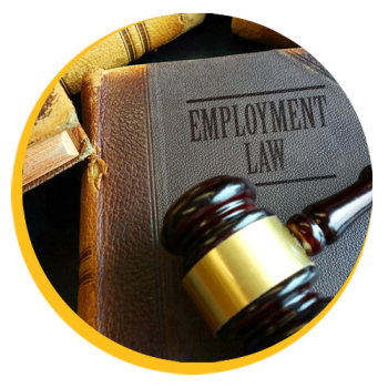 Cum poate sa ajute un avocat pentru dreptul muncii angajatorii